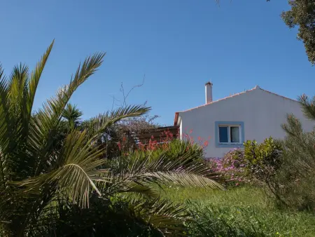 Monte Horizonte Casa Passaro Öko und Natur, Maison 5 personnes à Santiago do Cacém - Photo 13