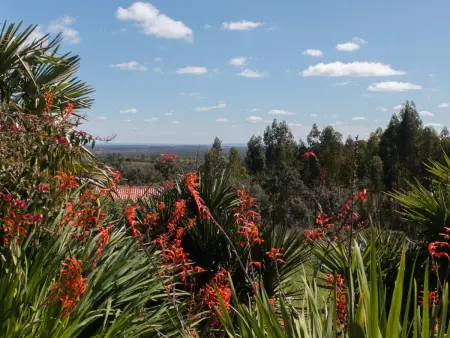 Monte Horizonte Casa Passaro Öko und Natur, Maison 5 personnes à Santiago do Cacém - Photo 15