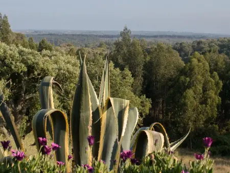 Monte Horizonte Casa Passaro Öko und Natur, Maison 5 personnes à Santiago do Cacém - Photo 16