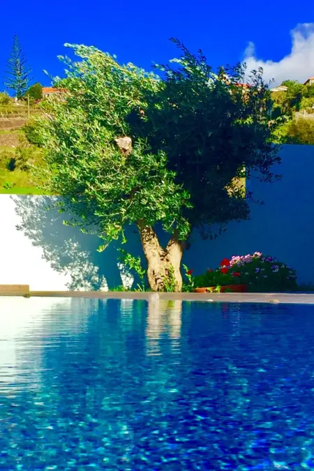 Villa Pinheira III, Maison 3 personnes à Madeira Calheta - Photo 16