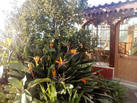 Erdhaus, Maison 2 personnes à Arco da Calheta - Photo 16