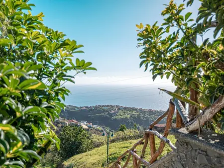Villa Pitaias de Baixo, Maison 4 personnes à Arco da Calheta - Photo 22