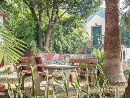 Historische Quinta Vista Mar in Arco A, Maison 3 personnes à Arco da Calheta - Photo 12