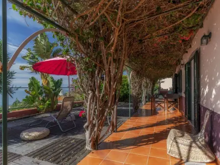 Villa Flora HRM, Maison 4 personnes à Arco da Calheta - Photo 2
