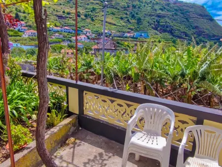 Typische Bauernhof-Wohnung, Appartement 5 personnes à Arco da Calheta - Photo 14