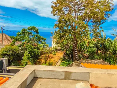 Typische Bauernhof-Wohnung, Appartement 5 personnes à Arco da Calheta - Photo 16