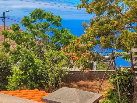 Typische Bauernhof-Wohnung, Appartement 5 personnes à Arco da Calheta - Photo 18