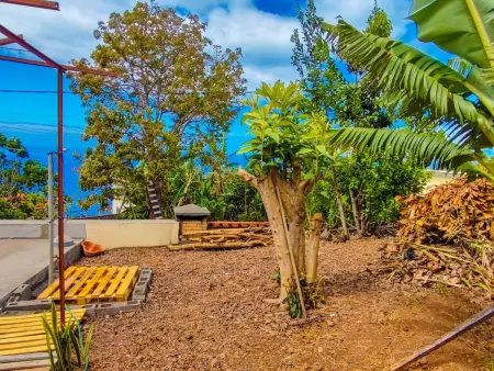 Typische Bauernhof-Wohnung, Appartement 5 personnes à Arco da Calheta - Photo 22