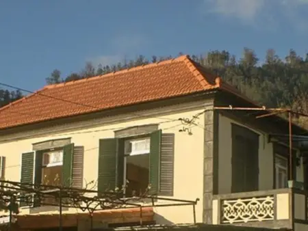 Typische Bauernhof-Wohnung, Appartement 5 personnes à Arco da Calheta - Photo 34