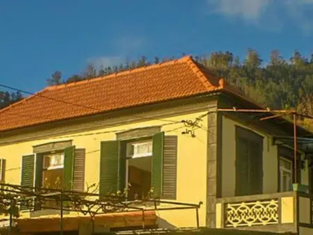 Typische Bauernhof-Wohnung, Appartement 5 personnes à Arco da Calheta - Photo 35