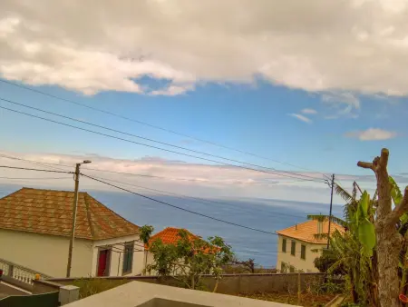 Typische Bauernhof-Wohnung, Appartement 5 personnes à Arco da Calheta - Photo 42