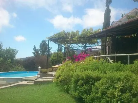 Haus in Arco Da Calheta mit Garten und Meerblick - Photo 4