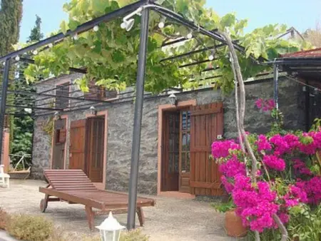 Haus in Arco Da Calheta mit Garten und Meerblick - Photo 12