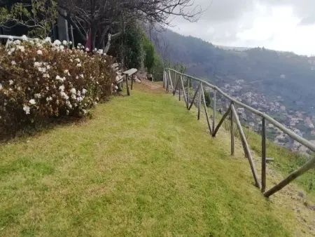 Haus in Arco Da Calheta mit Garten und Meerblick - Photo 17