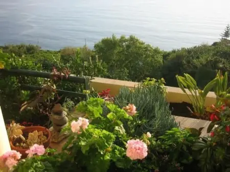 Geräumige Wohnung mit Panoramablick, Appartement 4 personnes à Arco da Calheta - Photo 4