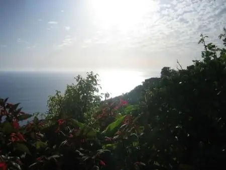 Geräumige Wohnung mit Panoramablick, Appartement 4 personnes à Arco da Calheta - Photo 17