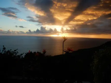 Geräumige Wohnung mit Panoramablick, Appartement 4 personnes à Arco da Calheta - Photo 19