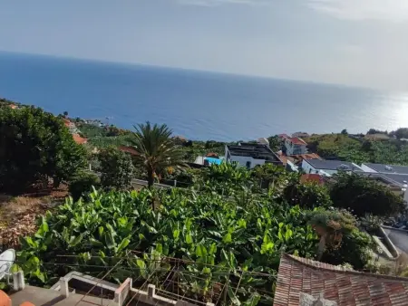 Dachterrasse sonnig und perfekte Aussicht apt, Appartement 2 personnes à Arco da Calheta - Photo 27