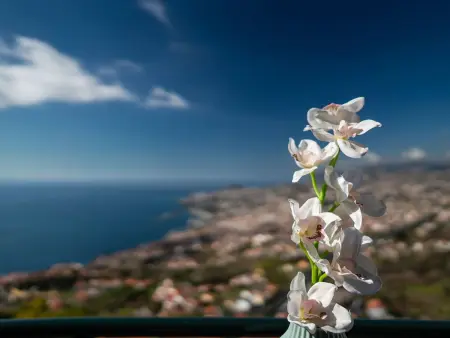 Atlantischer Ozean Wohnung, Appartement 4 personnes à Madeira Funchal - Photo 19