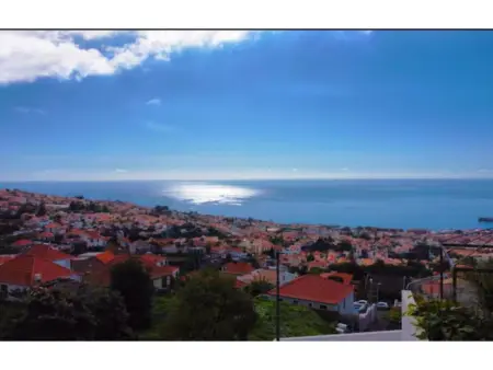 Ferienvilla  Villa Paradise Palms, Maison 5 personnes à Madeira Funchal - Photo 38