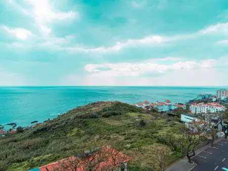 Appartement mit Meerblick, Appartement 6 personnes à Madeira Caniço - Photo 17
