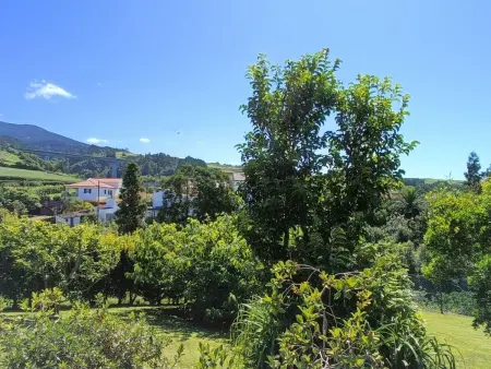 Tradicampo-Casa do Tanque, Maison 6 personnes à Algarvia - Photo 26