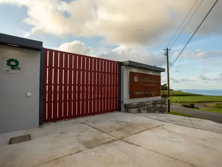 Tradicampo Öko-Landhäuser Casa da Cisterna, Maison 2 personnes à Algarvia - Photo 23