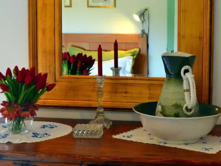 Tradicampo-Ferienhaus A Arribana, Maison 2 personnes à Algarvia - Photo 17