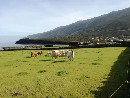 Vinea Lava  mit Blick auf das Wasser, Maison 5 personnes à Prainha - Photo 66