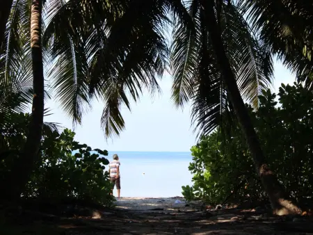 Charmante Ferienwohnung in Grand Anse mit Grill, Appartement 2 personnes à Beau Vallon - Photo 12
