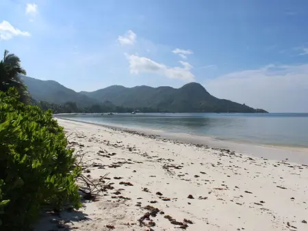 Charmante Ferienwohnung in Grand Anse mit Grill, Appartement 2 personnes à Beau Vallon - Photo 14