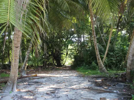 Charmante Ferienwohnung in Grand Anse mit Grill, Appartement 2 personnes à Beau Vallon - Photo 16