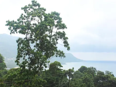 Horizon, klimatisierte Ferienwohnung mit Balkon, Appartement 4 personnes à Beau Vallon - Photo 24