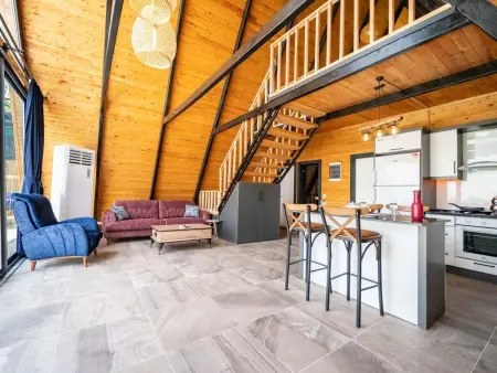 Liyu, Maison 2 personnes à Yeşilköy - Photo 30