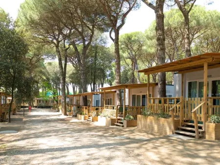 Mare e Pineta, Maison 3 personnes à Lido di Spina - Photo 1