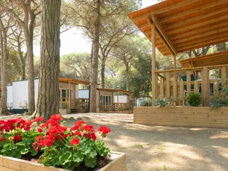 Mare e Pineta, Maison 3 personnes à Lido di Spina - Photo 8
