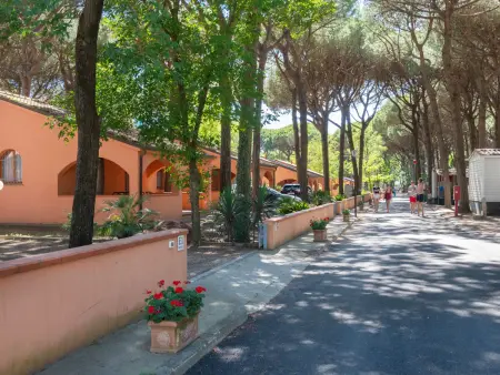 Mare e Pineta, Maison 6 personnes à Lido di Spina - Photo 11