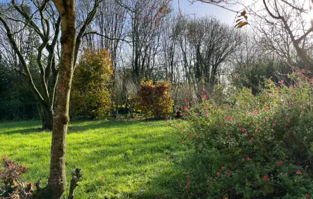 Maison 4 personnes à Heugueville sur Sienne - Photo 10