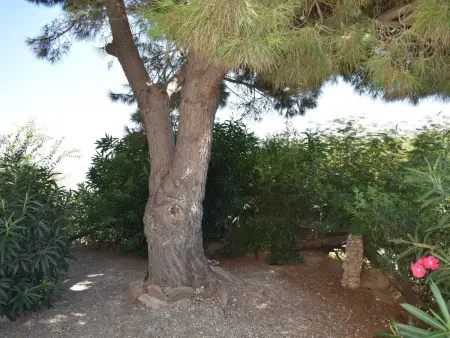 Finca Carrulo mit privatem Pool, Maison 6 personnes à Competa - Photo 31