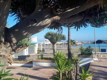 Luxuriöses Apartment am Strand, Appartement 4 personnes à Manilva - Photo 57