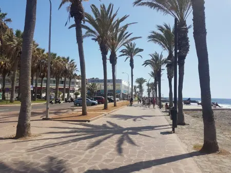 Casa Palmera 2, Appartement 6 personnes à Playa de las Américas - Photo 40