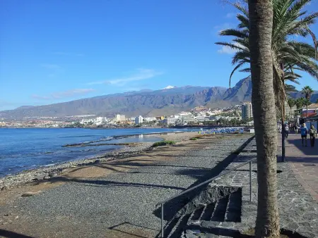 Casa Palmera 2, Appartement 6 personnes à Playa de las Américas - Photo 43