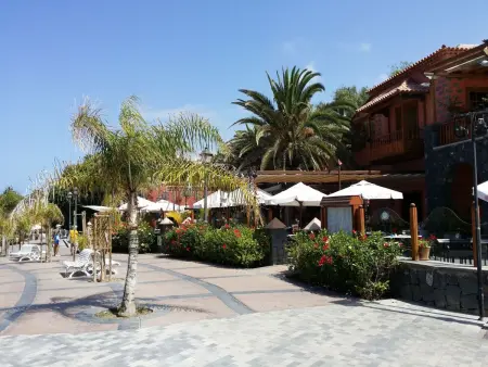 mit beheiztem gemeinsamem Pool, Appartement 4 personnes à Costa Adeje - Photo 38