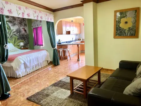 Superior 1-Zimmer-Wohnung mit Terrasse und Meerblick - Photo 6