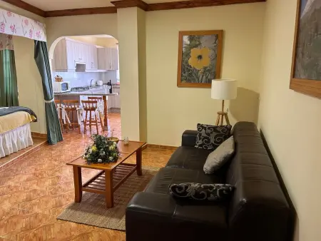 Superior 1-Zimmer-Wohnung mit Terrasse und Meerblick - Photo 27