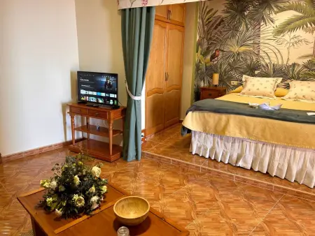 Superior 1-Zimmer-Wohnung mit Terrasse und Meerblick - Photo 28