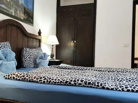 für 2 Personen ca. 45 m&sup2; in Icod de los Vinos, Teneriffa (Nordküste von Te - Photo 6