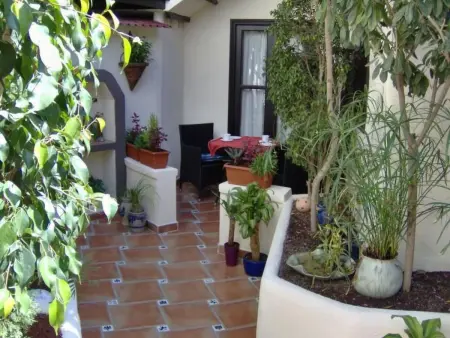 für 2 Personen ca. 45 m&sup2; in Icod de los Vinos, Teneriffa (Nordküste von Te - Photo 11