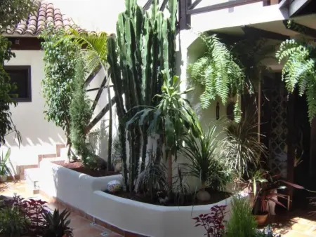 für 2 Personen ca. 45 m&sup2; in Icod de los Vinos, Teneriffa (Nordküste von Te - Photo 28