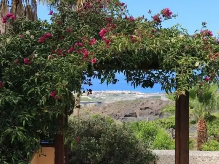 in Guía de Isora, Teneriffa, Appartement 4 personnes à Playa San Juan - Photo 50